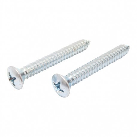 TORNILLO METAL CABEZA OVALADA RANURADA 14 X 2" 10P - Envío Gratuito