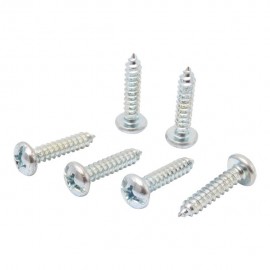 TORNILLO METAL CABEZA CHATA RANURADA 12 X 1" 10P - Envío Gratuito