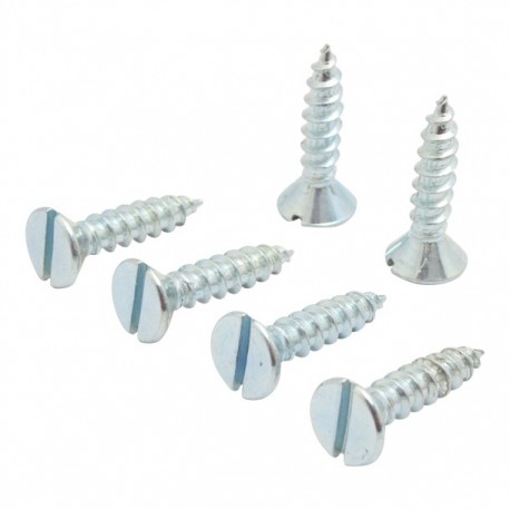 TORNILLO CABEZA PLANA DE RANURA-ZN12 X1 - Envío Gratuito