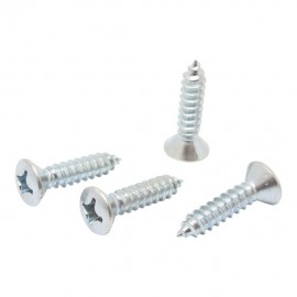 TORNILLO METAL CABEZA OVALADA RANURADA 12X 1" 10P - Envío Gratuito