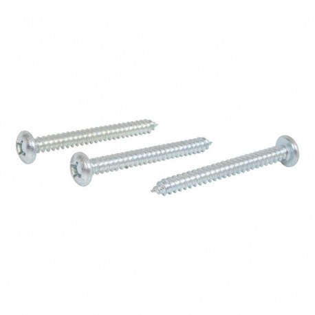 TORNILLO METAL PHILLIPS 10 X2 - Envío Gratuito