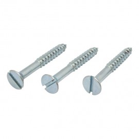 TORNILLO CABEZA PLANA DE RANURA-ZN10 X2 - Envío Gratuito