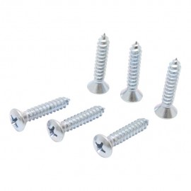 TORNILLO METAL CABEZA OVALADA RANURADA 10 X 1" 10P - Envío Gratuito