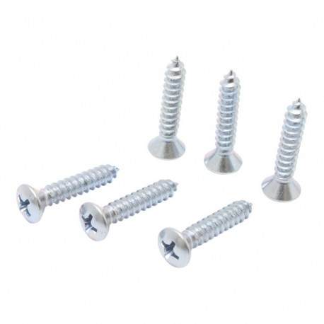 TORNILLO METAL CABEZA OVALADA RANURADA 10 X 1" 10P - Envío Gratuito