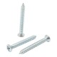 TORNILLO CABEZA OVALADA RANURA MEDIDA 10 X 2" 10 PIEZAS - Envío Gratuito