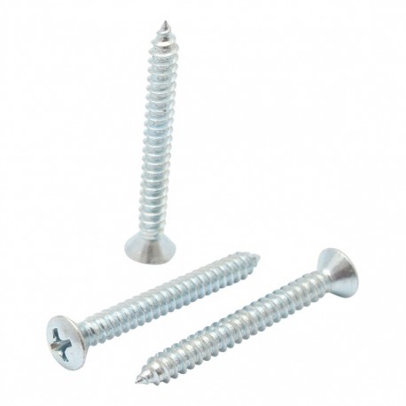 TORNILLO CABEZA OVALADA RANURA MEDIDA 10 X 2" 10 PIEZAS - Envío Gratuito
