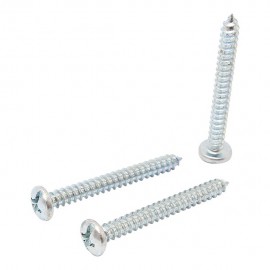 TORNILLO METAL CABEZA CHATA RANURADA 10 X 1" 10P - Envío Gratuito