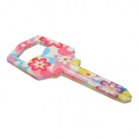 LLAVE POP DE ESTILO PARA CHAPAS - Envío Gratuito