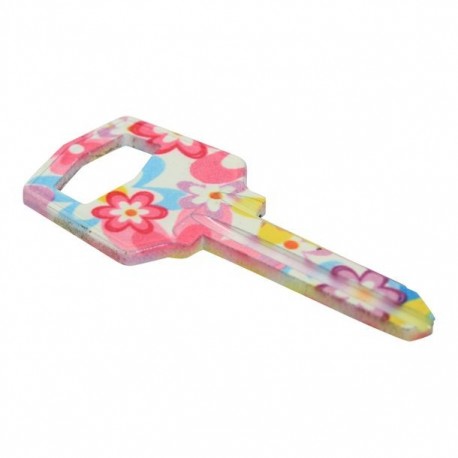 LLAVE POP DE ESTILO PARA CHAPAS - Envío Gratuito