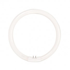 FOCO CIRCULAR 22 W LUZ FRIA - Envío Gratuito