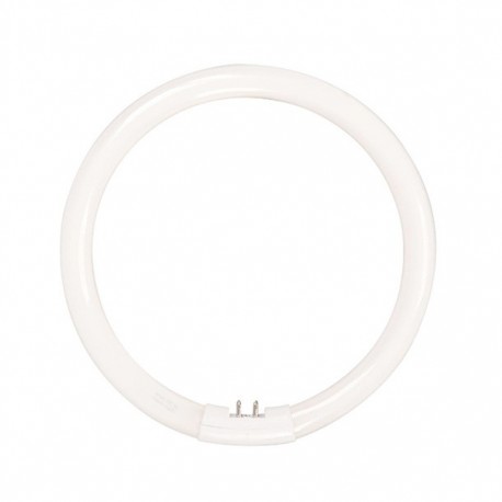 FOCO CIRCULAR 22 W LUZ FRIA - Envío Gratuito