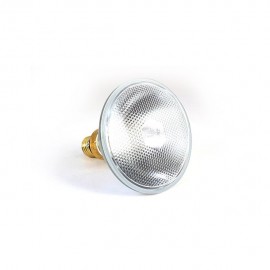 MASTER LINE PAR 38 (REFLECTOR WISO) 100W - Envío Gratuito