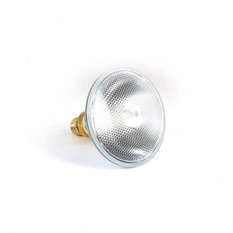 MASTER LINE PAR 38 (REFLECTOR WISO) 100W - Envío Gratuito