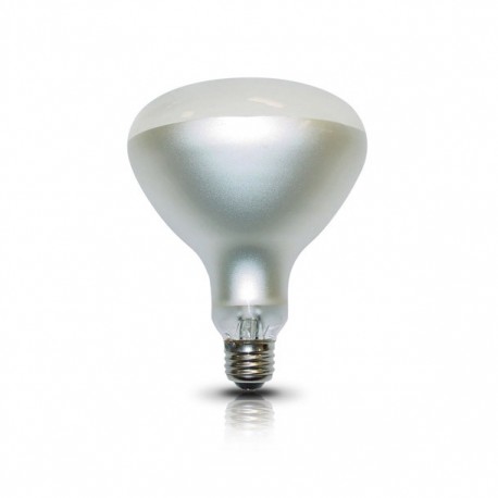 FOCO LÁMPARA ALBERCA 300R40/FL 12V - Envío Gratuito