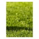 PASTO ARUBA 1.83 - Envío Gratuito