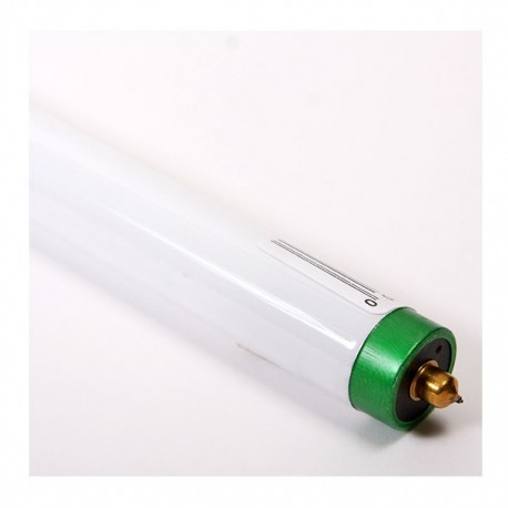 LÁMPARA FLUORESCENTE T8 60W LUZ BLANCA - Envío Gratuito