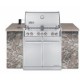 ASADOR GAS SUMMIT S460 EMPOTRABLE - Envío Gratuito
