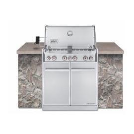 ASADOR GAS SUMMIT S460 EMPOTRABLE - Envío Gratuito