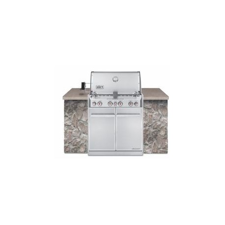 ASADOR GAS SUMMIT S460 EMPOTRABLE - Envío Gratuito