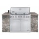 ASADOR GAS SUMMIT S660 EMPOTRABLE - Envío Gratuito