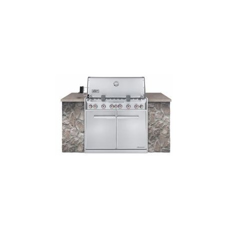 ASADOR GAS SUMMIT S660 EMPOTRABLE - Envío Gratuito