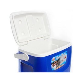 HIELERA BREEZE 28 CUARTOS (30 L) - Envío Gratuito