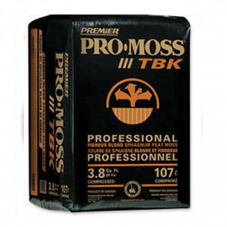 PRO MOSS TBK 3.8 CC - Envío Gratuito