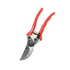 TIJERAS PARA FLORICULTURA 2" - Envío Gratuito