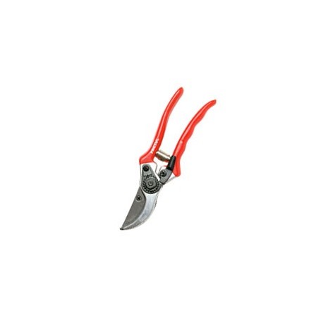 TIJERAS PARA FLORICULTURA 2" - Envío Gratuito