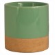 MACETA 4" MENTA PRIDE GARDEN - Envío Gratuito