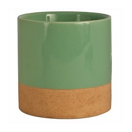 MACETA 4" MENTA PRIDE GARDEN - Envío Gratuito