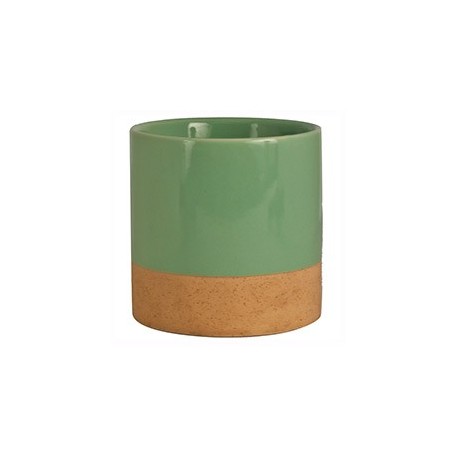 MACETA 4" MENTA PRIDE GARDEN - Envío Gratuito