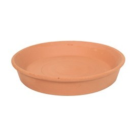 PLATO BARRO NATURAL 6 - Envío Gratuito