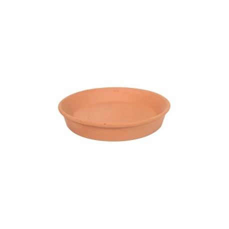 PLATO BARRO NATURAL 6 - Envío Gratuito