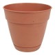MACETA DE PLÁSTICO CON PLATO DE 6" TERRACOTA - Envío Gratuito