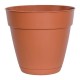 MACETA PLÁSTICA CON PLATO 8" TERRACOTA - Envío Gratuito