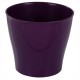 MACETA PLÁSTICO 7 PULG. COLOR LILA - Envío Gratuito