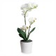 ORQUÍDEA ARTIFICIAL 50 CM BLANCA - Envío Gratuito