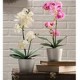 ORQUÍDEA ARTIFICIAL 50 CM BLANCA - Envío Gratuito
