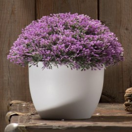 PLANTA DECORATIVA REDONDA MORADA - Envío Gratuito
