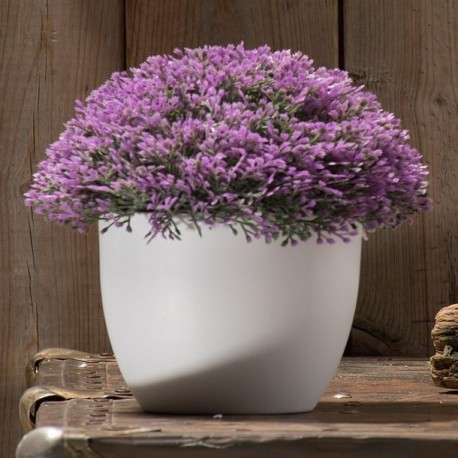 PLANTA DECORATIVA REDONDA MORADA - Envío Gratuito
