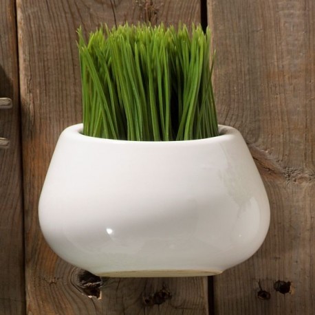 PLANTA DECORATIVA MESA/PARED PASTO - Envío Gratuito