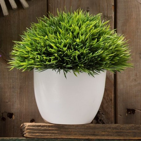 PLANTA DEC PASTO CORTO BLANCO - Envío Gratuito