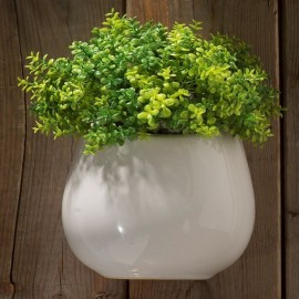 PLANTA DEC MESA/PARED BOLA - Envío Gratuito