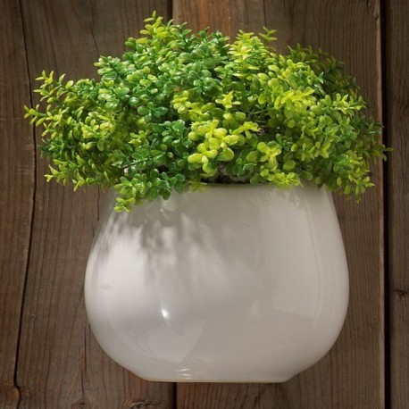 PLANTA DEC MESA/PARED BOLA - Envío Gratuito