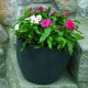 VINCA (TERESITA) 5" - Envío Gratuito