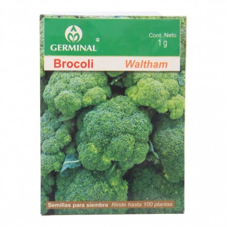 SEMILLAS DE BROCOLI WALTHAM 212 - Envío Gratuito