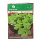 SEMILLA CILANTRO DE MACOLLO 201 - Envío Gratuito