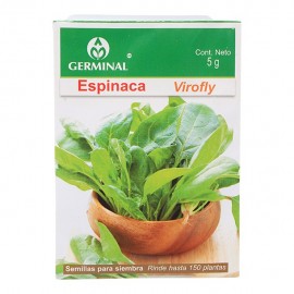 SEMILLA ESPINACA VIROFLY 203 - Envío Gratuito