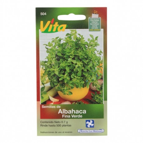 SEMILLAS DE ALBAHACA FINA VERDE 504 - Envío Gratuito